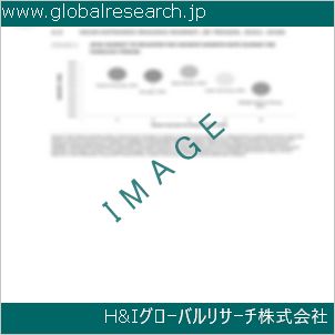 グローバルリサーチ調査資料のイメージ